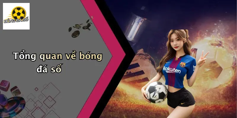 Tổng quan về bóng đá số
