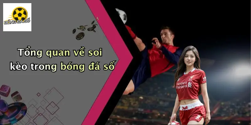 Tổng quan về soi kèo trong bóng đá số
