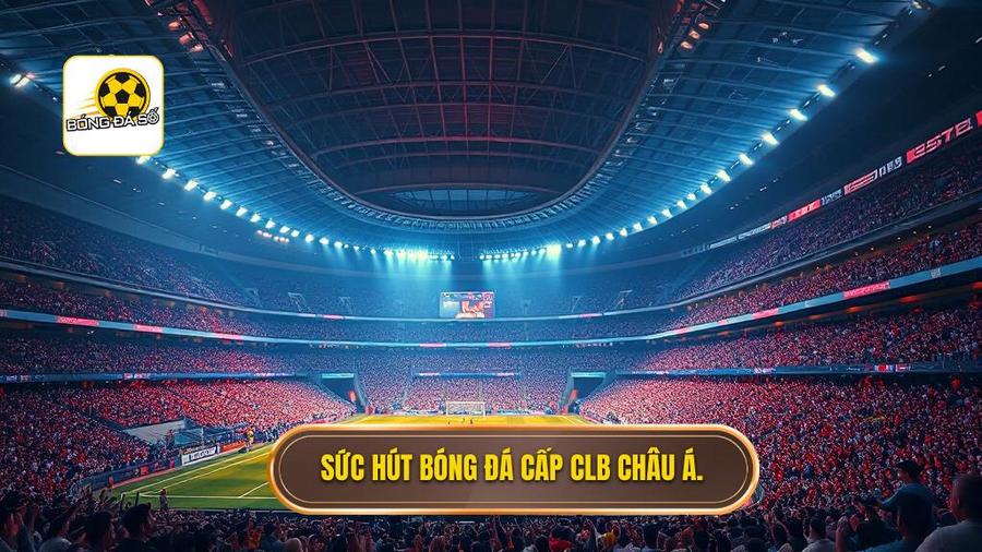 Tại sao bóng đá cấp CLB tại châu Á ngày càng thu hút?