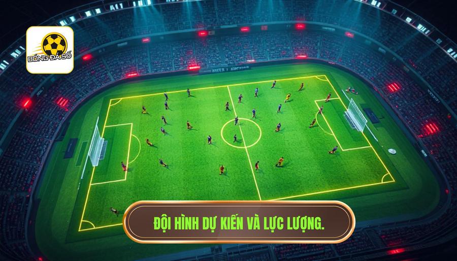 3. Tình hình lực lượng và đội hình dự kiến