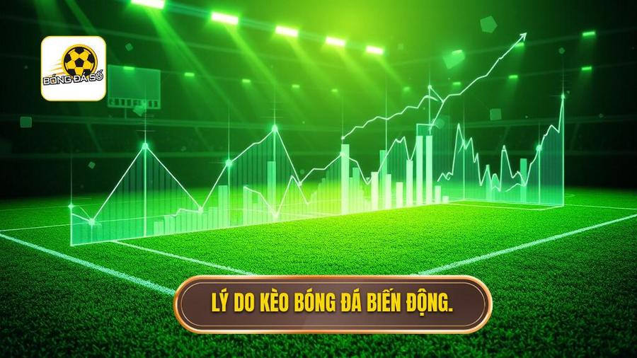 Phân tích đa chiều: Tại sao kèo bóng đá trực tuyến lại biến động?