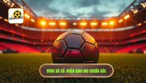 nhận định trận đấu Manchester United hôm nay